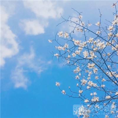 星空体育APPapp下载