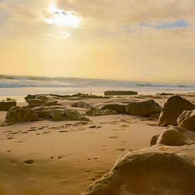 星空线上官网手机app下载