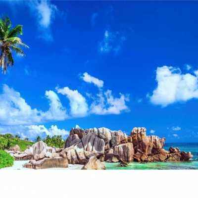 爱游戏全站APP下载app下载