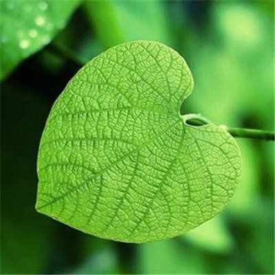 半岛综合app官网登录